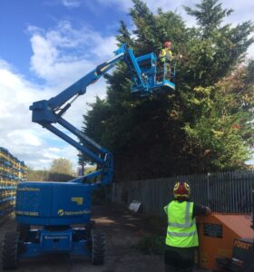 Hedge Trimming Kent Cherry Picker About Trees Ltd
