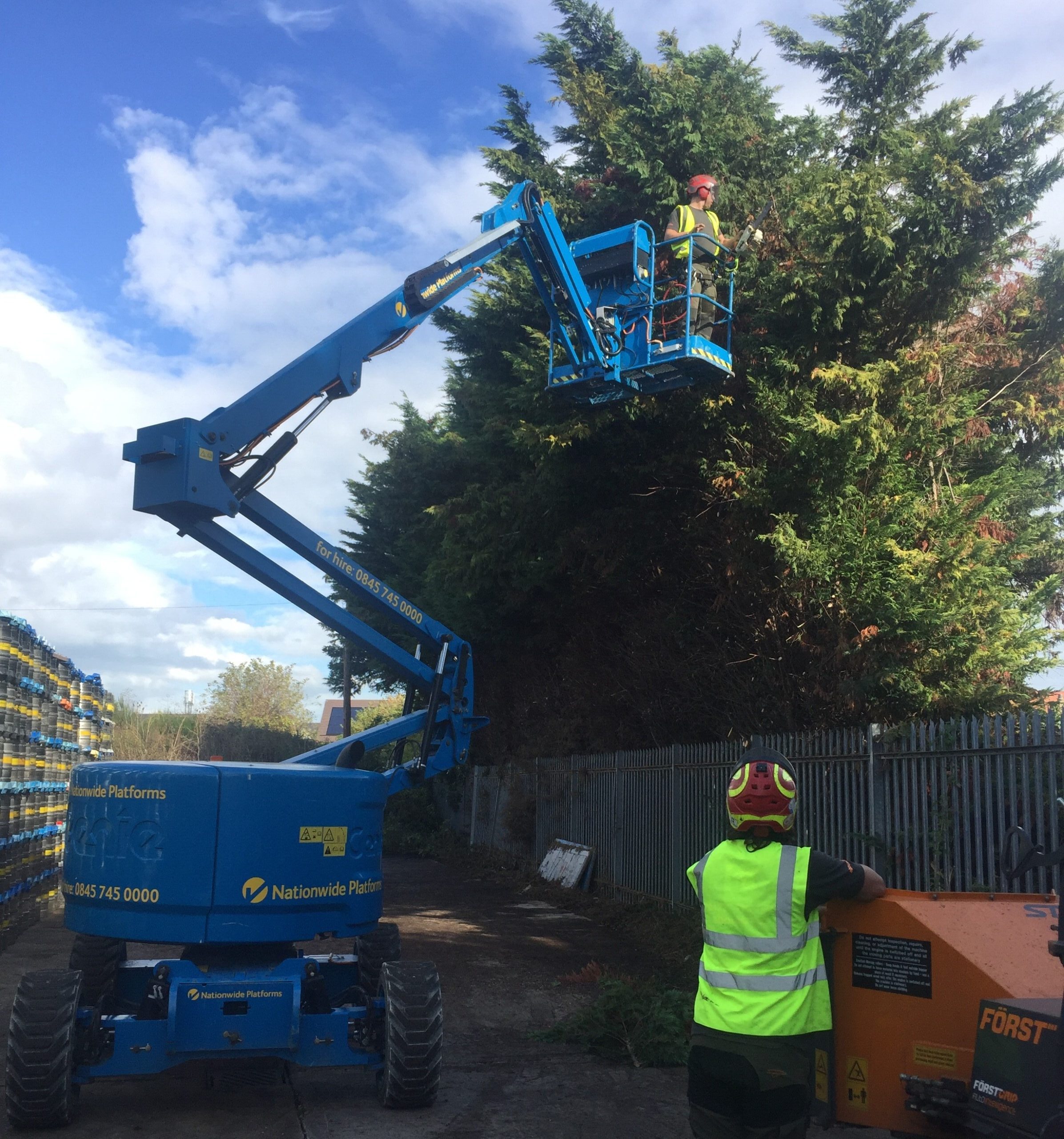 Hedge Trimming 70m Hedge Made Easy with Cherry Picker
