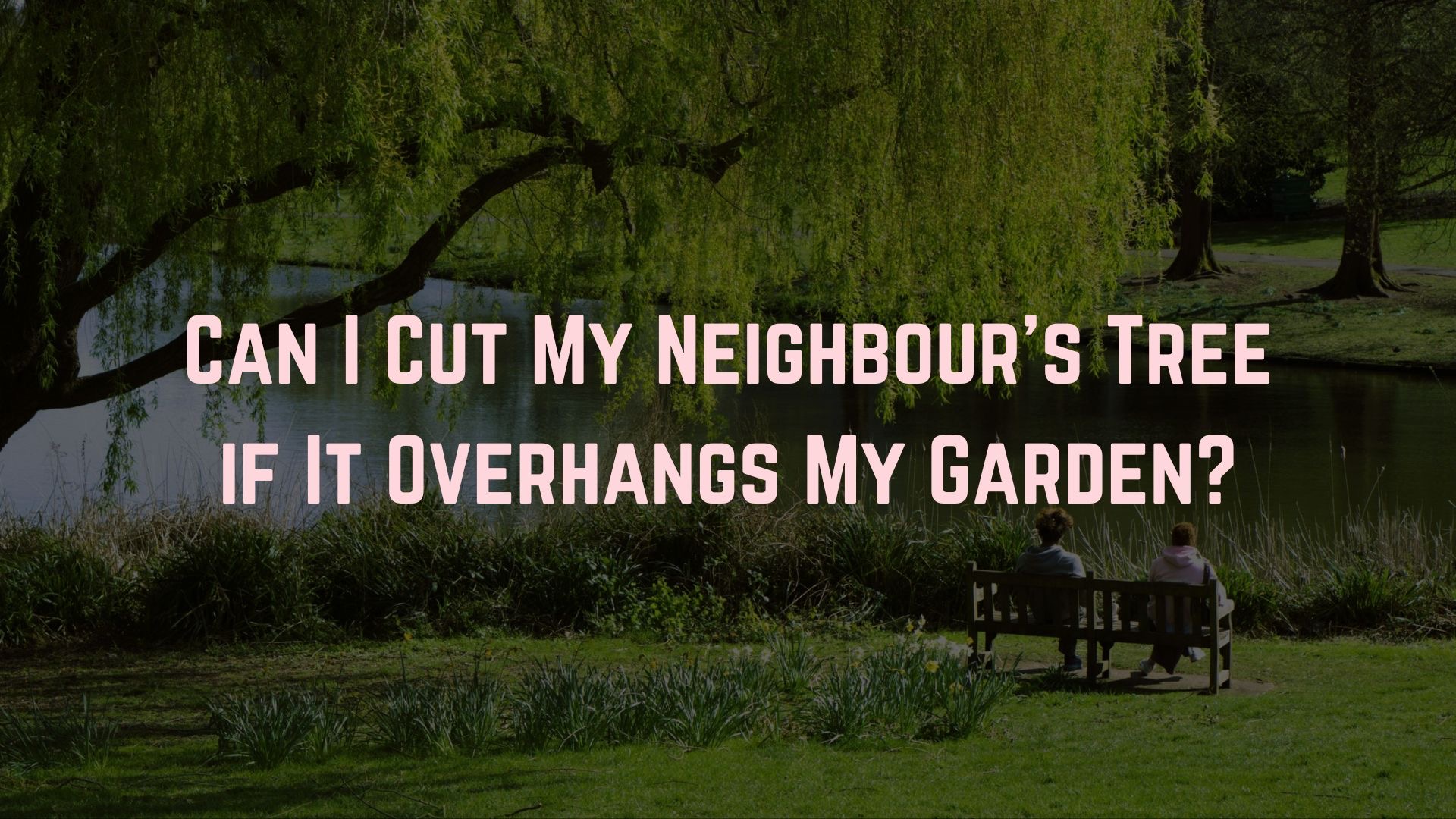 Neighbours Tree Overhangs Garden About Trees Kent Tree Surgeon