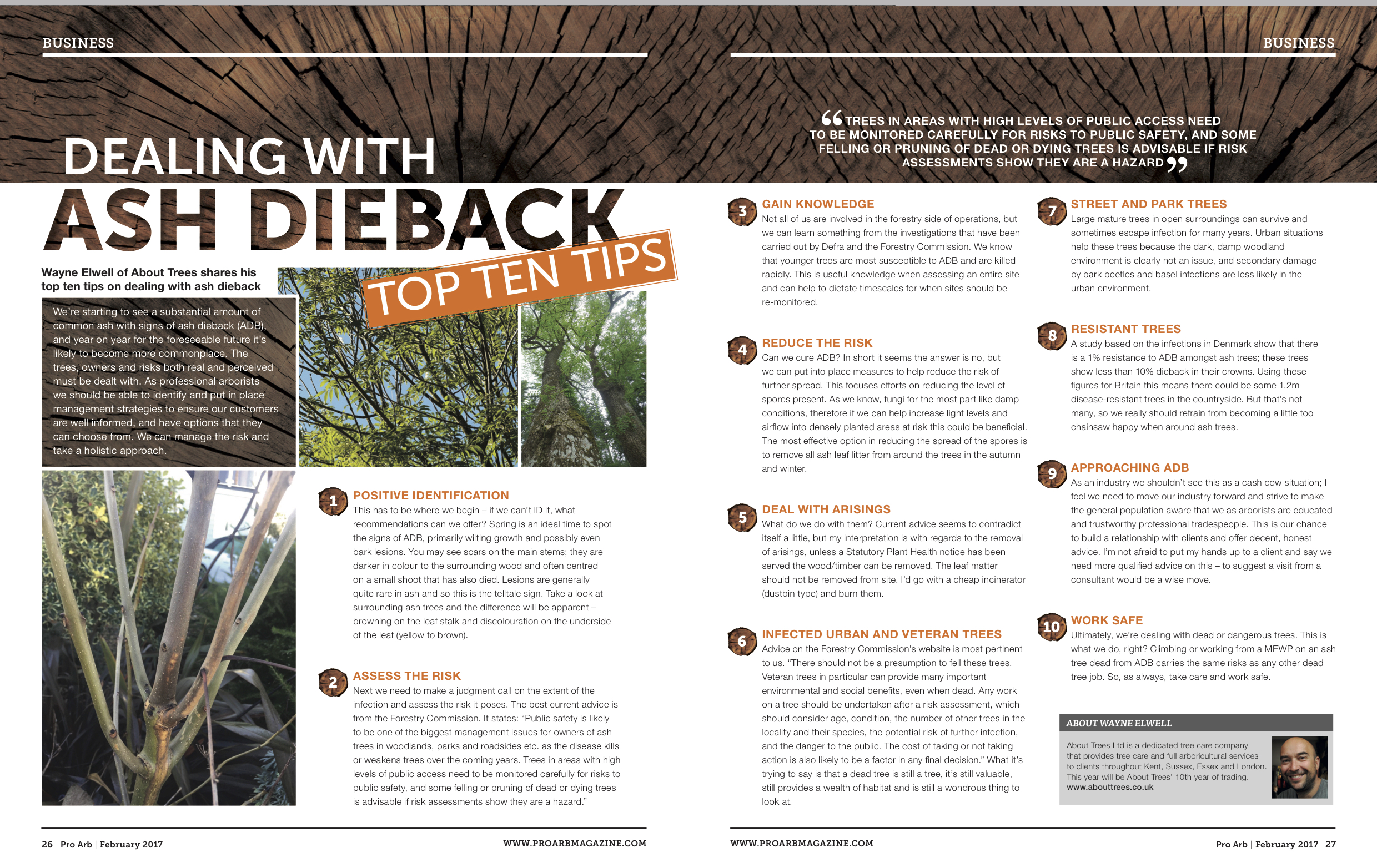 Ash Dieback Top Ten Tips