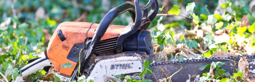 Ivy Removal Kent Tree Surgeon Commercial Residential
