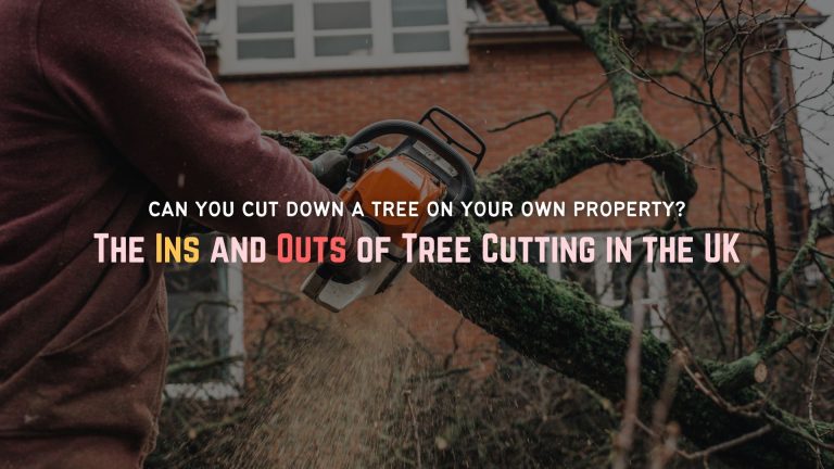 Cut Down Tree Own Property About Trees