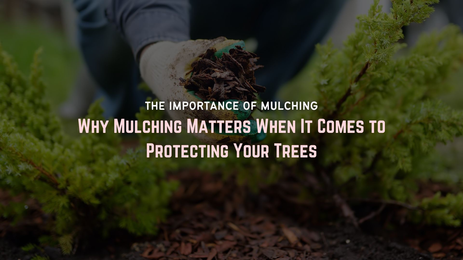 The Importance of Mulching