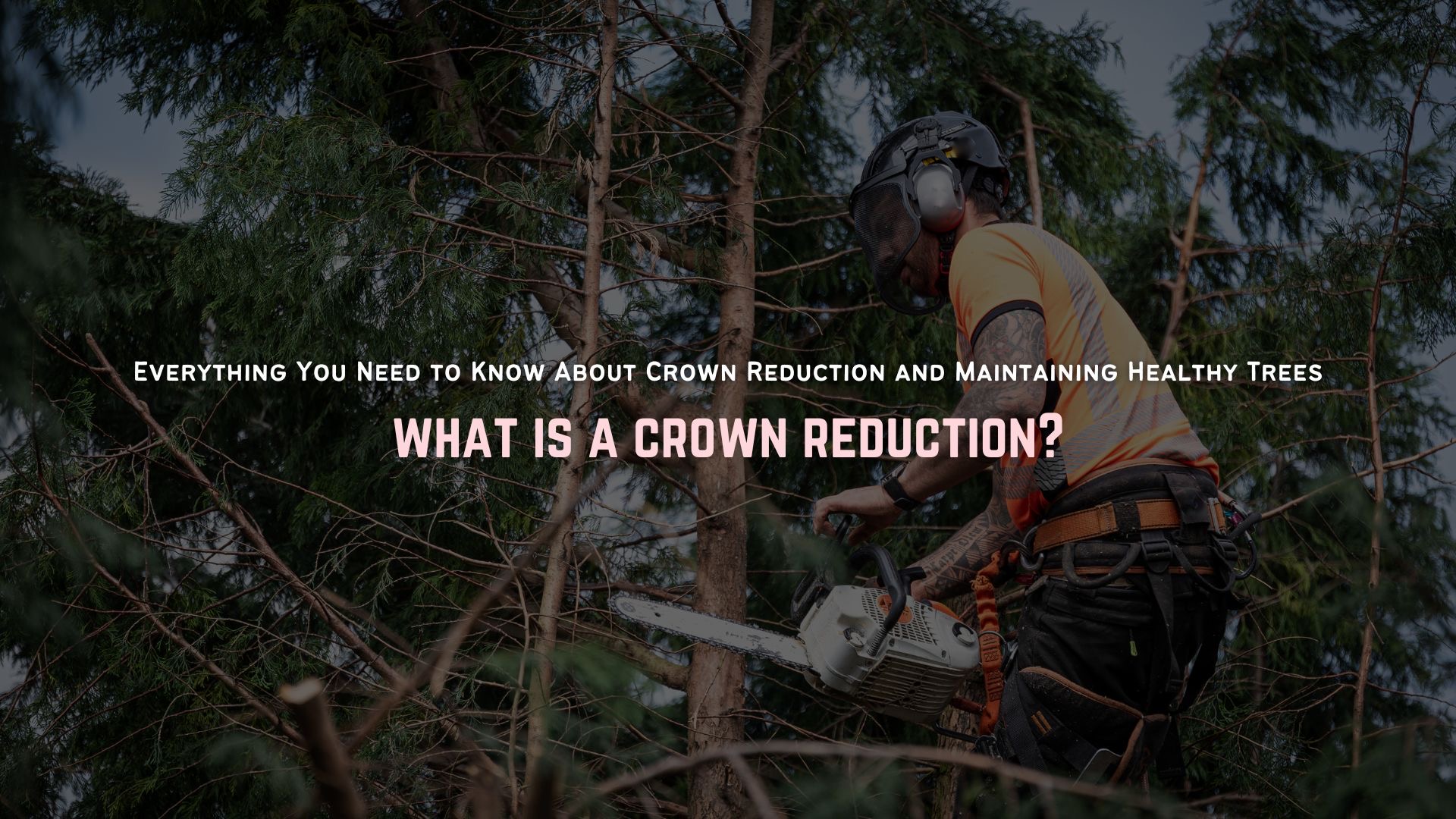 What is a Crown Reduction?