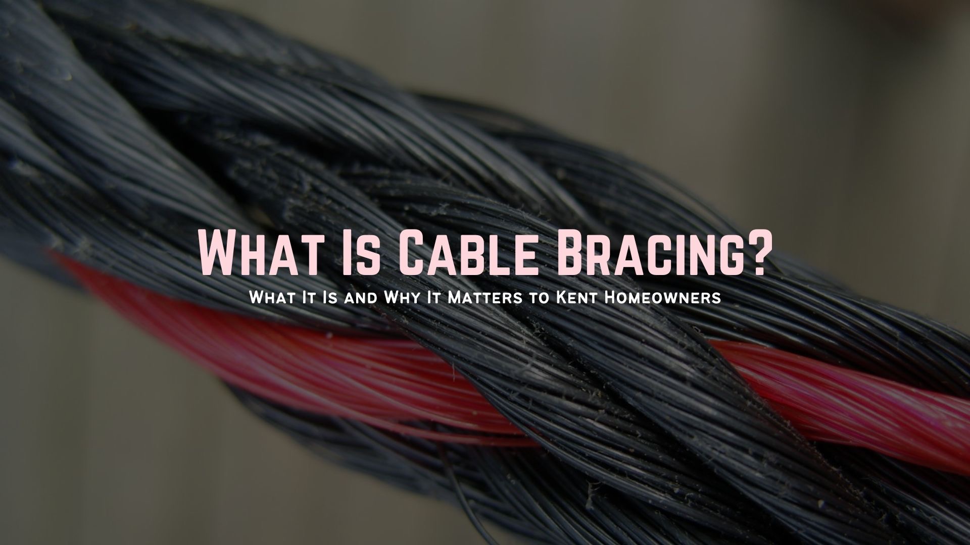 What Is Cable Bracing Kent Homeowners About Trees Tree Surgeon Tree Arborist