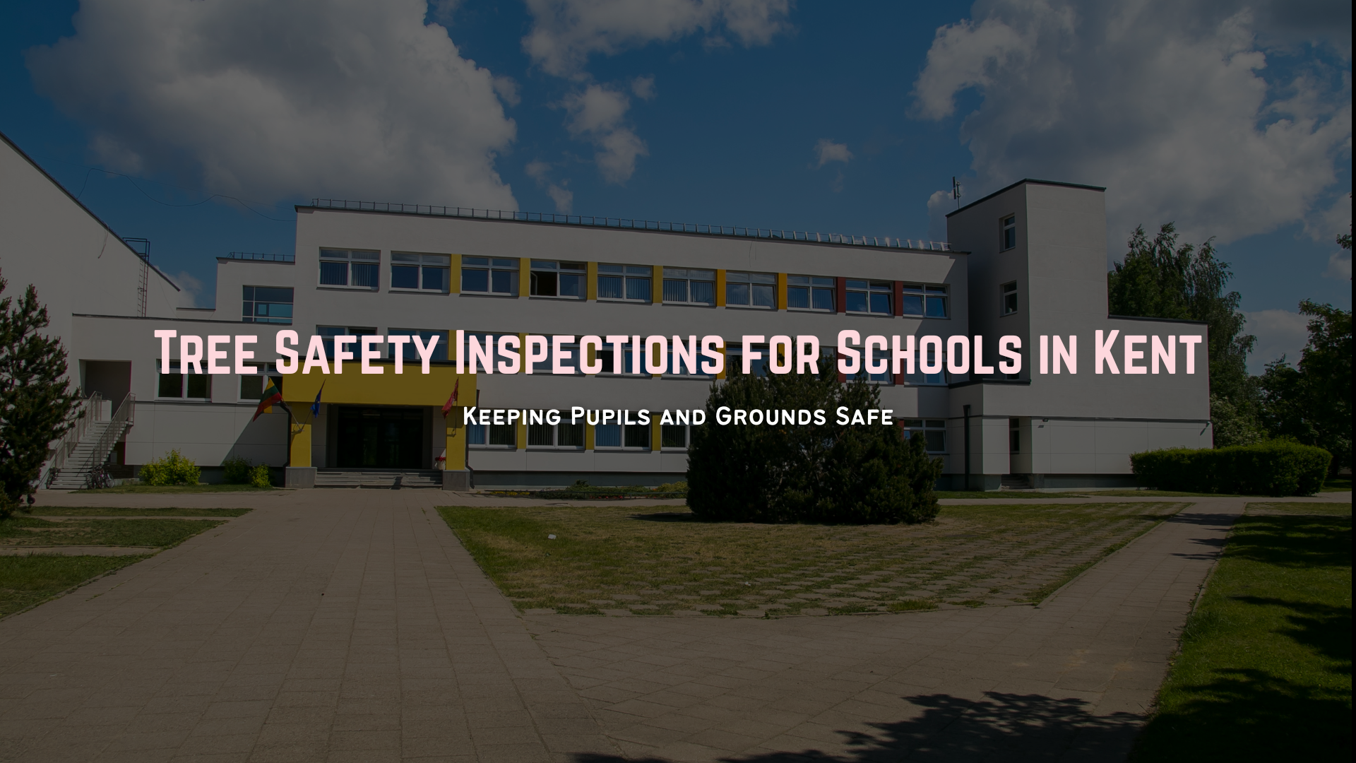 What Schools in Kent Should Know About Tree Safety Inspections
