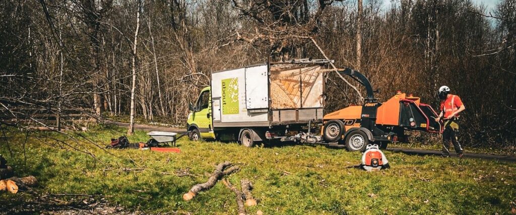 Tree Surgeon Services Whitstable Kent About Trees