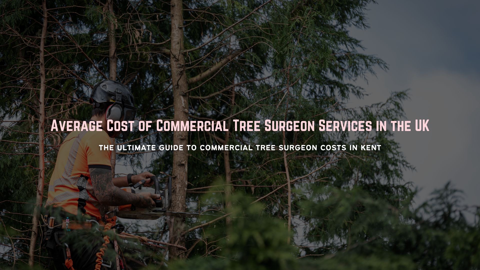 Average Cost Commercial Tree Surgeon Services UK Kent