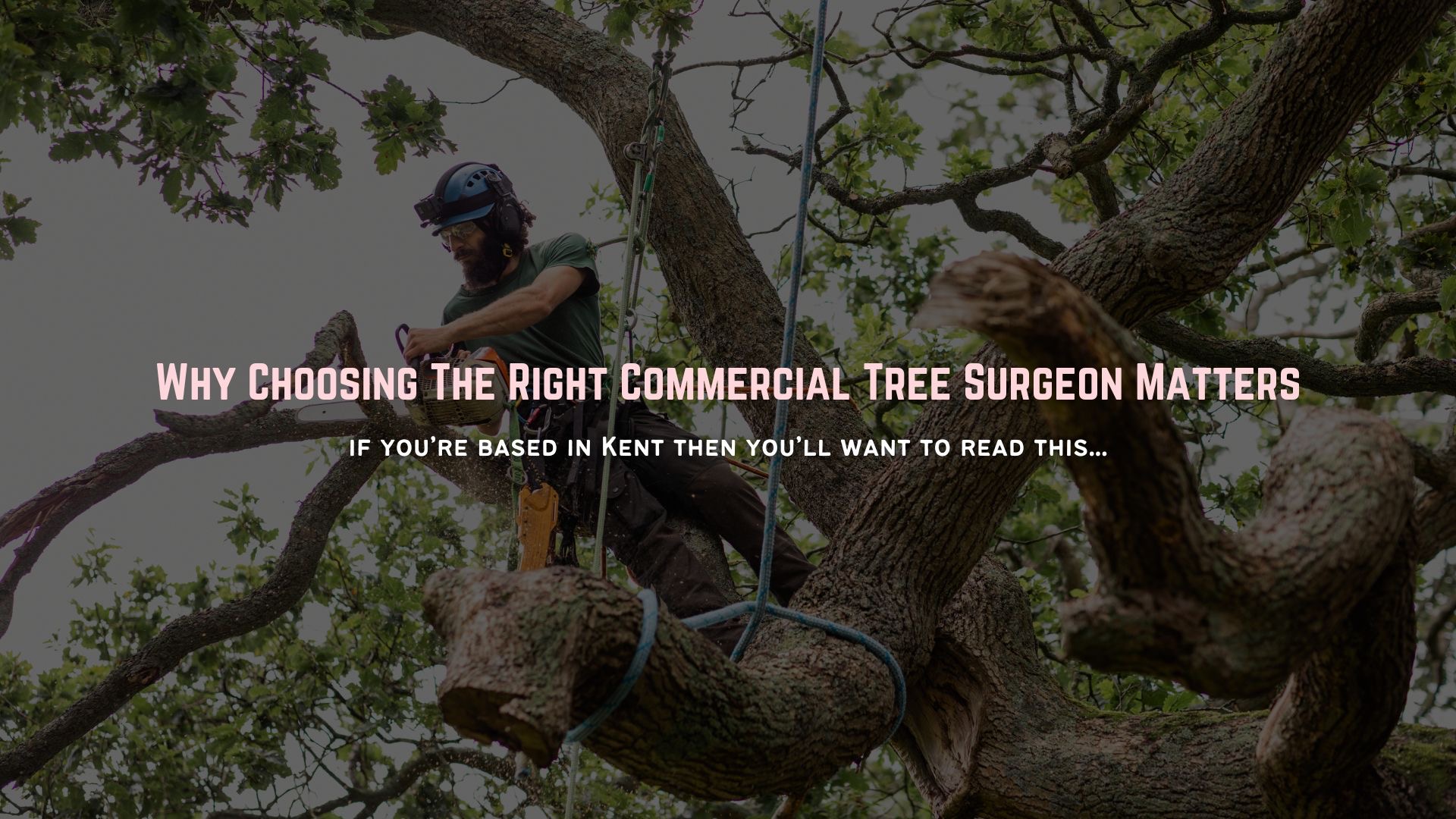 Why Choosing a Commercial Tree Surgeon in Kent Matters