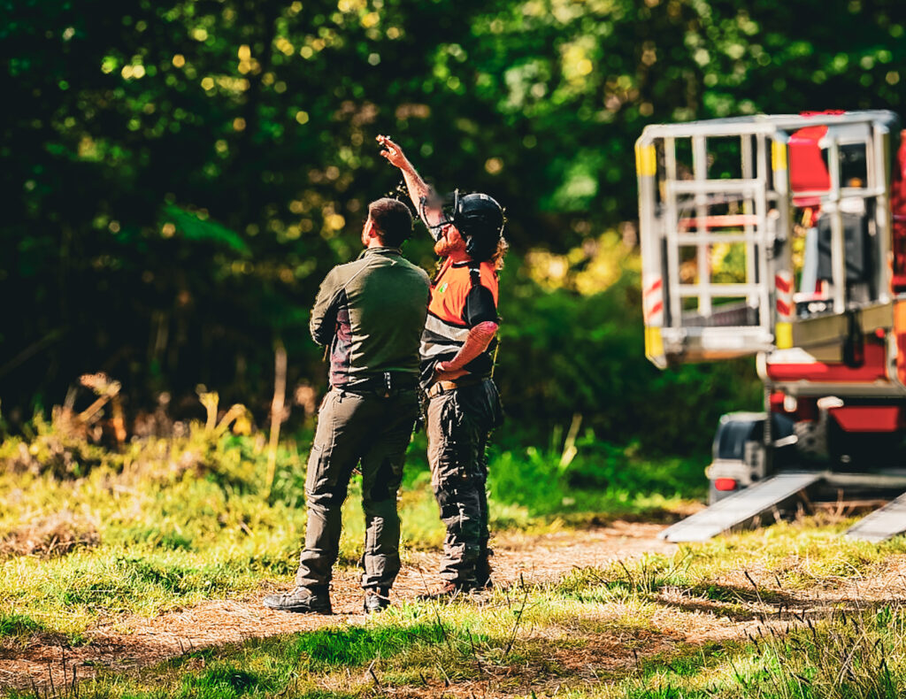 Estate Tree Management Works at St John’s College, Kent