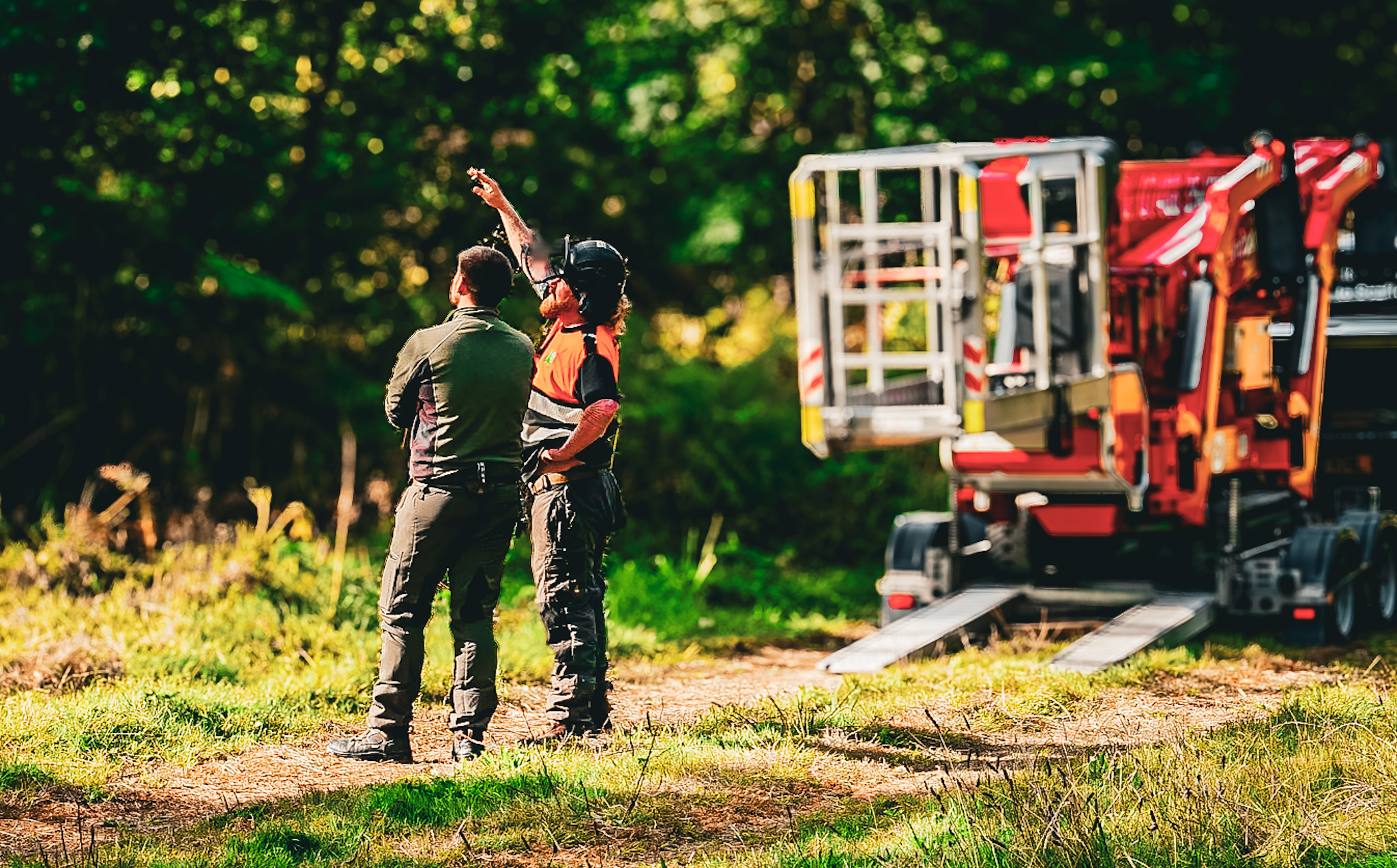 Ash Dieback Tree Removal at St John’s College Estate