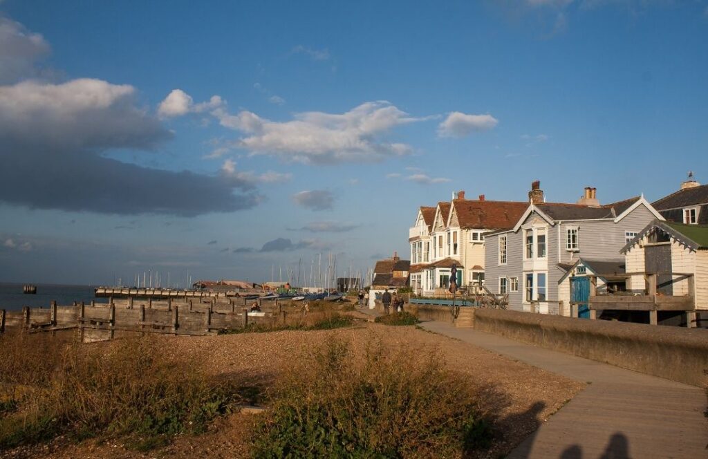 Tree Surgeon Services Whitstable Kent About Trees