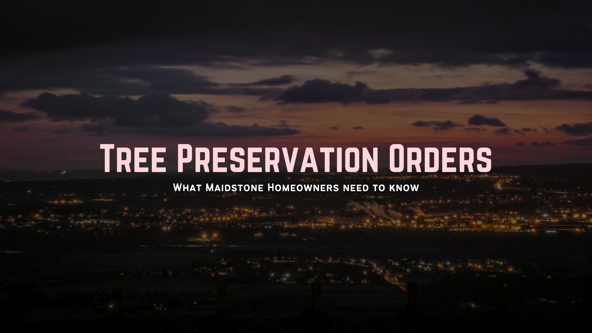 Tree Preservation Orders Maidstone Kent About Trees